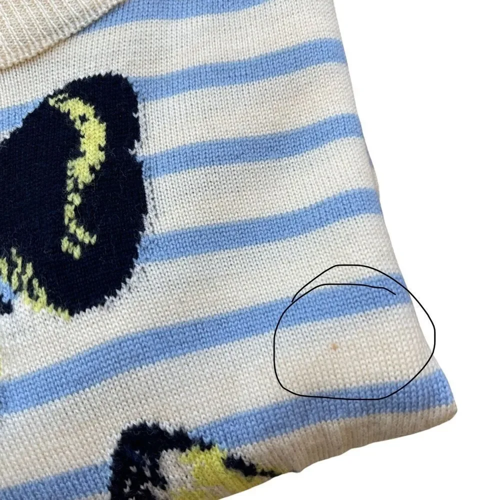 J.Crew Merino “Tippi” Wool Ivory Blue Crew Neck Striped Butterflies Sweater • XS